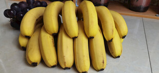一串新鲜的黄色香蕉