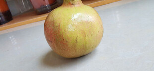 新鲜诱人的单个石榴