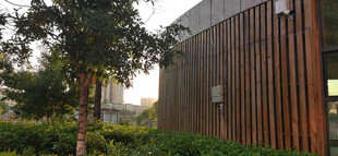 现代木质墙面建筑旁的绿植景观