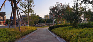 公园林荫小道景观