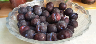 玻璃碗中的紫黑色李子