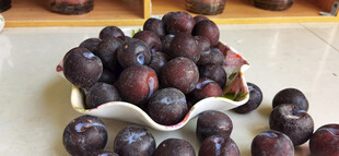果盘中紫李诱人