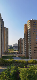 城市高楼与绿植景观