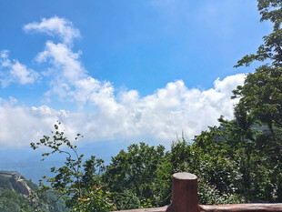 山顶之上的蓝天绿树美景