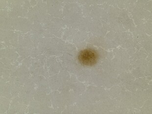 浅色背景上的棕色污点