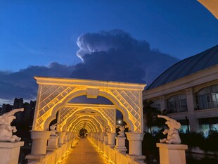 梦幻灯光打造的唯美拱门