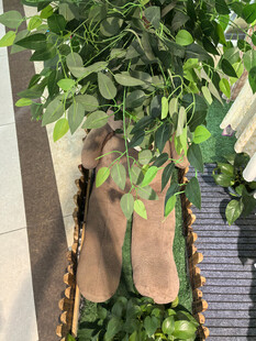 室内绿植装饰生机盎然