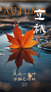 水面上的秋日枫叶