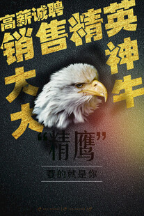 销售精英大展