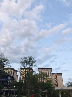 蓝天白云下的城市建筑群