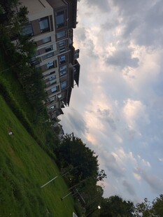 小区傍晚天空与绿植景观