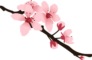 粉色桃花枝