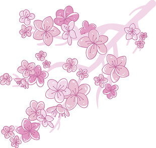 粉色樱花枝插画