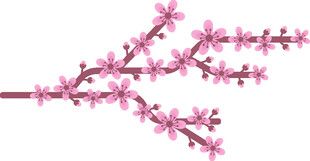 粉色桃花枝