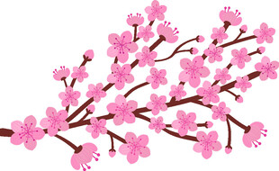 粉色桃花枝