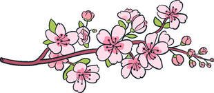 手绘樱花枝