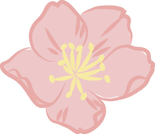 粉色樱花插画