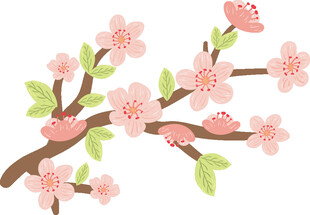 粉色樱花枝插画