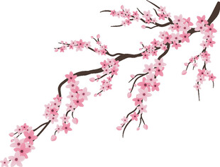 粉色桃花枝
