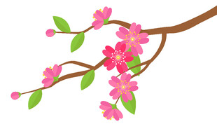 粉色桃花枝