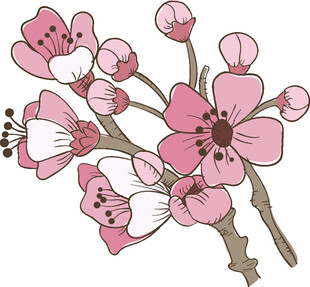 手绘粉色樱花花枝