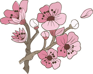 手绘粉色樱花枝图案