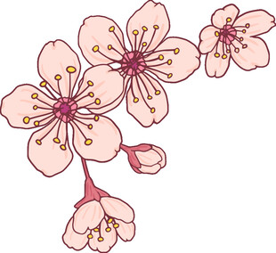 手绘粉色樱花花枝