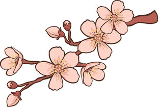 手绘粉嫩樱花枝