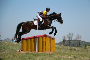 骑手策马跨越障碍瞬间