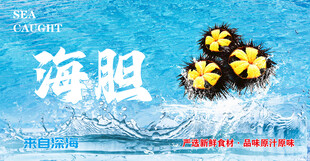 海胆