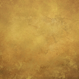 复古金色纹理背景图