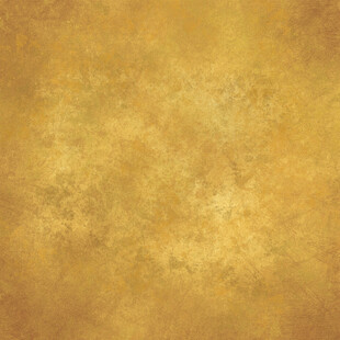 复古金色纹理背景图