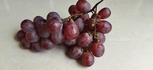 紫葡萄静物图