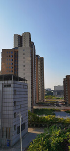 城市建筑与绿植景观