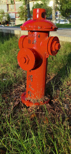 草地上的红色消防栓