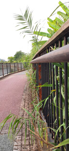 户外绿植环绕的步道与护栏