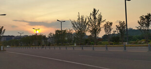 黄昏时分的空旷道路景象