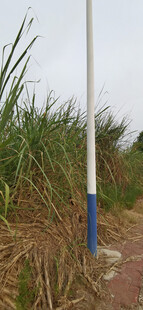 田间甘蔗旁的蓝白立柱