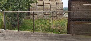 户外围栏旁的绿植与建筑