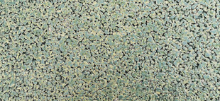 浅绿斑点粗糙纹理背景图