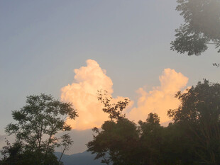 夕阳下的树梢与天边云彩