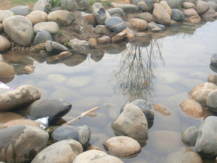 水边多彩鹅卵石与倒影