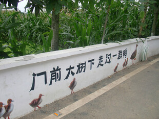 墙边漫步的鸭群彩绘