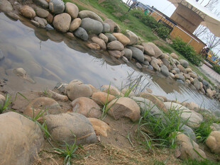 溪边散布的多彩圆润石头