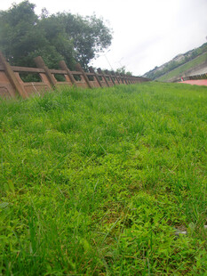 翠绿草地与远处围栏景观