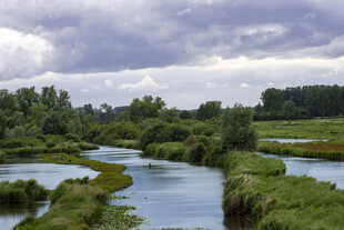 蜿蜒河流旁的葱郁景致