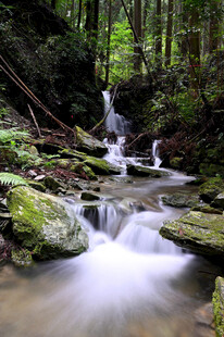 山林间的潺潺溪流