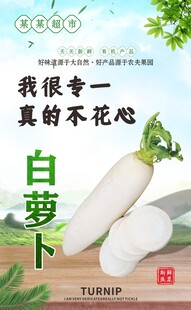 白萝卜