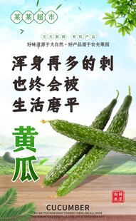 新鲜翠绿的有机黄瓜