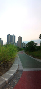 城市中多彩步道与绿植景观